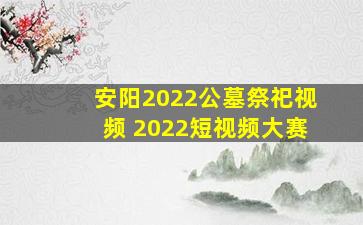 安阳2022公墓祭祀视频 2022短视频大赛
